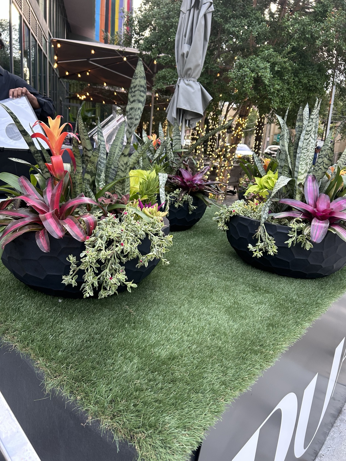 Design, Enhancements & Plantscaping