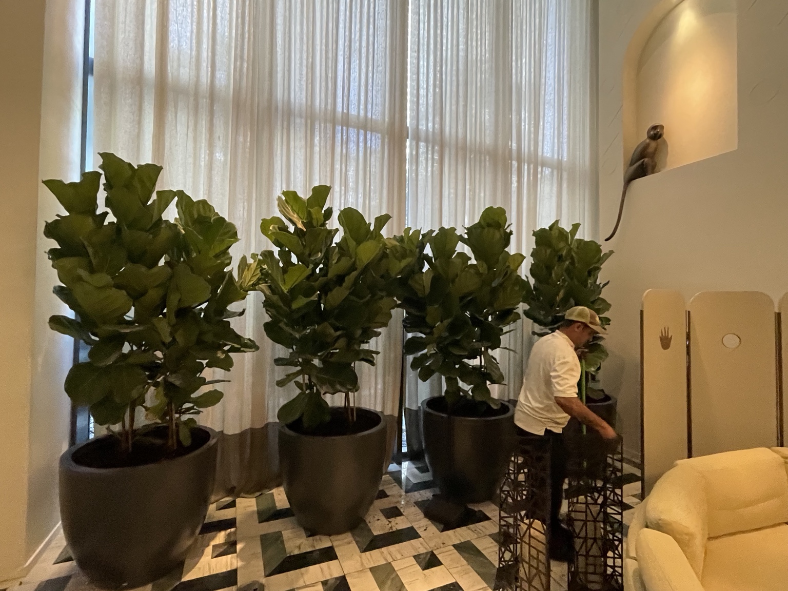 Interior plantscaping