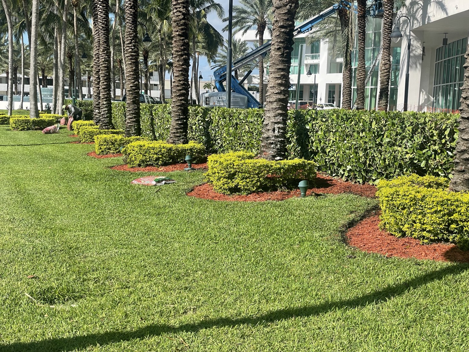 Commercial landscape maintained by Tropical Plant Providers