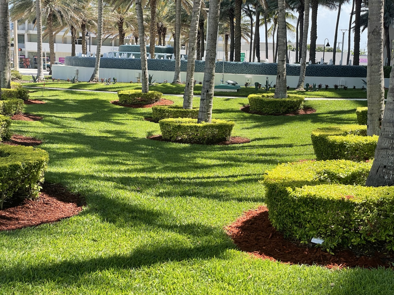 Commercial Landscape Management