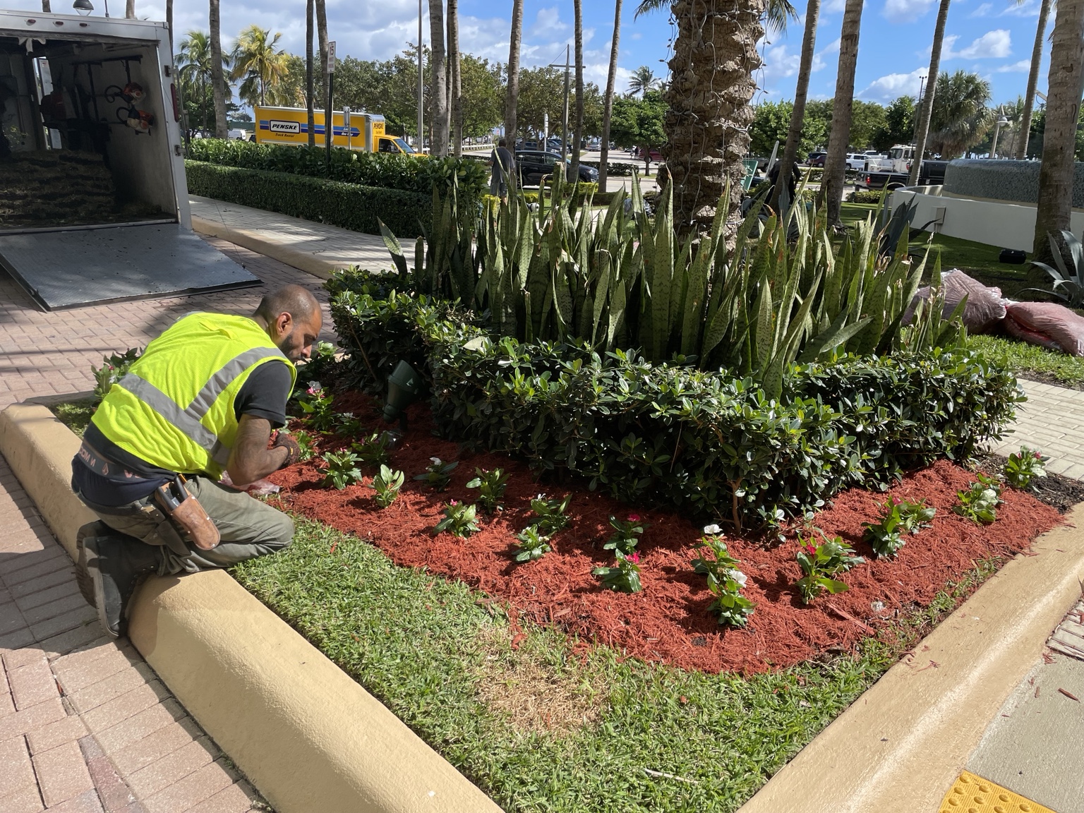 Professional installation